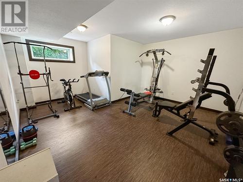 Holars Haven Acreage, Spy Hill Rm No. 152, SK - Indoor Photo Showing Gym Room