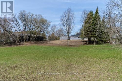 61 County Road 1 Road, Prince Edward County, ON - Outdoor
