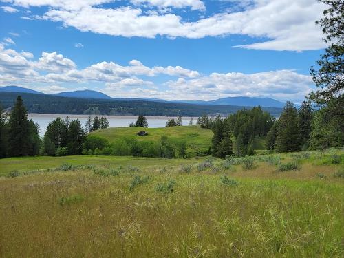 1347 Waldo Road, Baynes Lake, BC - Outdoor With View