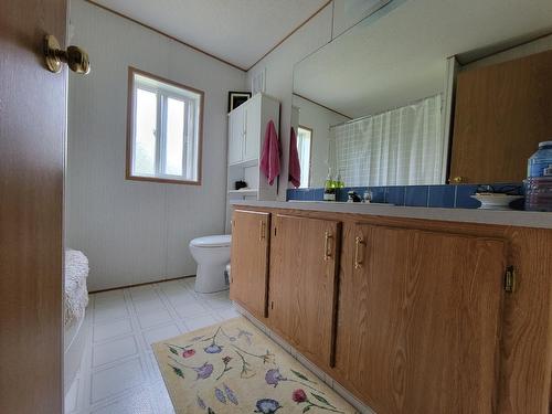1347 Waldo Road, Baynes Lake, BC - Indoor Photo Showing Bathroom