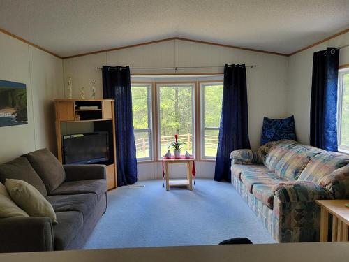 1347 Waldo Road, Baynes Lake, BC - Indoor Photo Showing Living Room
