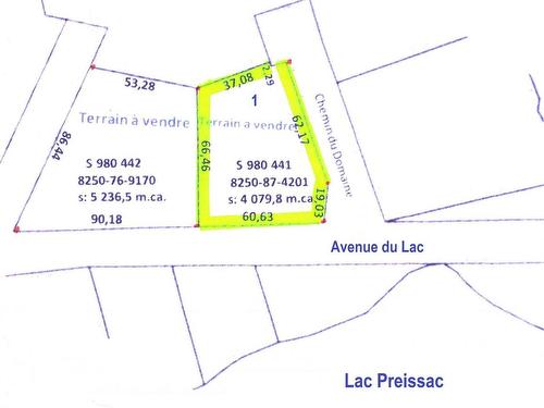 Plan (croquis) - Av. Du Lac, Preissac, QC 
