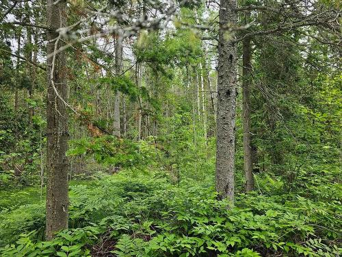 Terre/Terrain - Route Du Quai, Saint-Bruno-De-Guigues, QC 