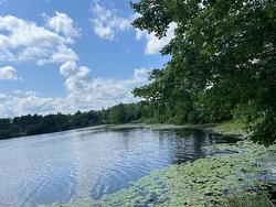 Lot 8 King Fisher Lane  Masons Beach, NS B0J 2C0