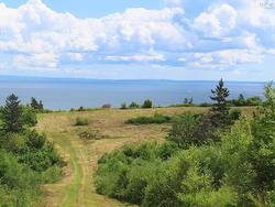 hwy 337 MORRISTOWN  Morristown, NS B2G 2L2