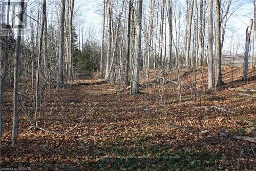 Na Dorena Crescent, South Bruce Peninsula, ON 