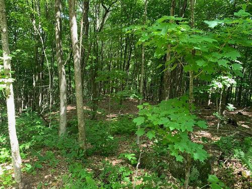 Land/Lot - 46 Ch. Maryhill, Harrington, QC 