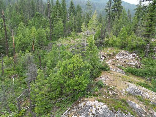 Lot 1 Erie-Ross Spur Road, Salmo, BC 