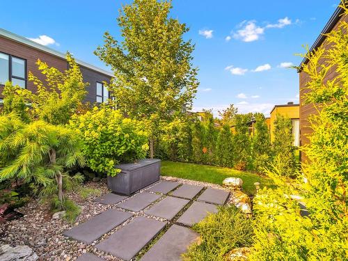 Backyard - 230 Rue Brunelle, Sainte-Julie, QC - Outdoor With In Ground Pool