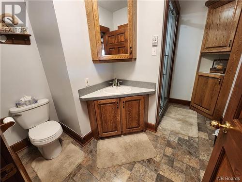 72 Mazerolle Street, Saint-Léonard-Parent, NB - Indoor Photo Showing Bathroom