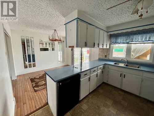 312 Grenfell Heights, Grand Falls-Windsor, NL - Indoor Photo Showing Kitchen With Double Sink