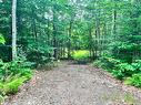 Land/Lot - Rue Ioan, Wentworth-Nord, QC 