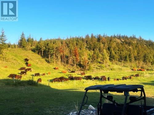 6332 Beaton Rd, Kamloops, BC - Outdoor With View