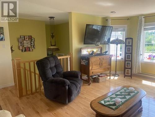 66 Penwell Avenue, Gander, NL - Indoor Photo Showing Living Room