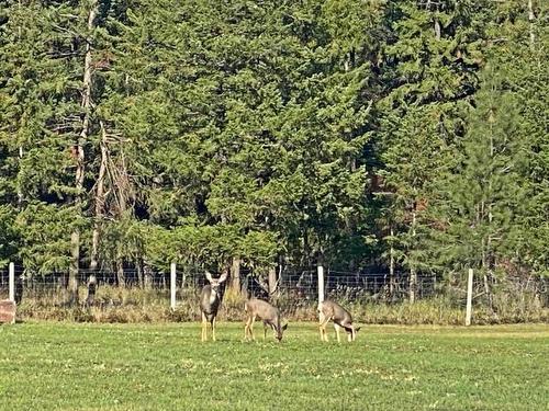 2 Mclure Ferry Road, Barriere, BC 