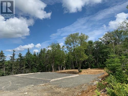 235 Eco Drive, Whitbourne, NL - Outdoor With View