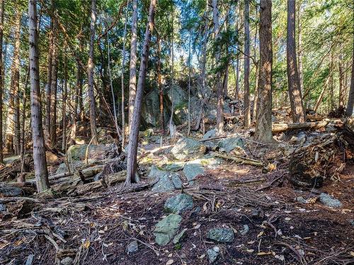 498 Marine Trnabt, Mayne Island, BC - Outdoor With View