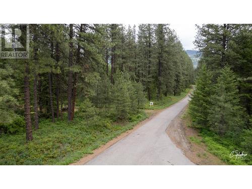 Lot 30 Mountain View Road, Christina Lake, BC 