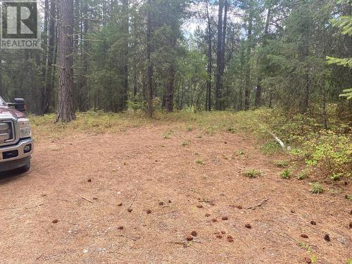 Lot 30 Mountain View Road, Christina Lake, BC 