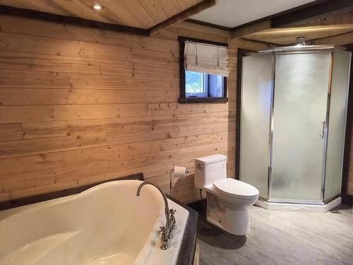 Salle de bains - 1251 Rg Des Pointes, Saint-Tite, QC - Indoor Photo Showing Bathroom