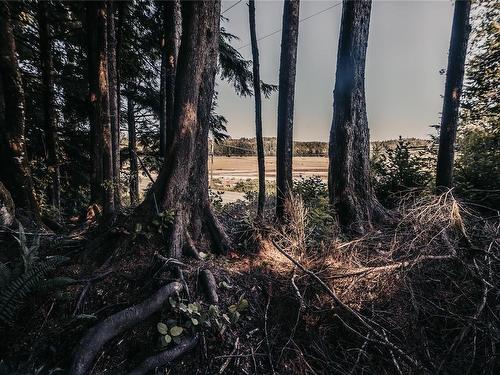 5940 Hardy Bay Rd, Port Hardy, BC 