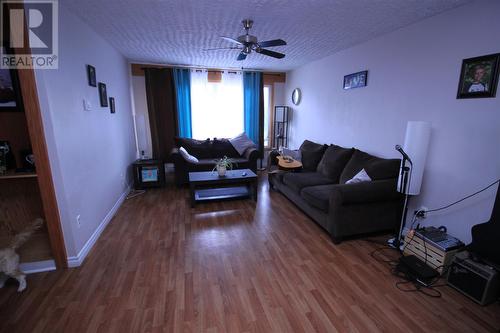 23 Kings Road, Corner Brook, NL - Indoor Photo Showing Living Room