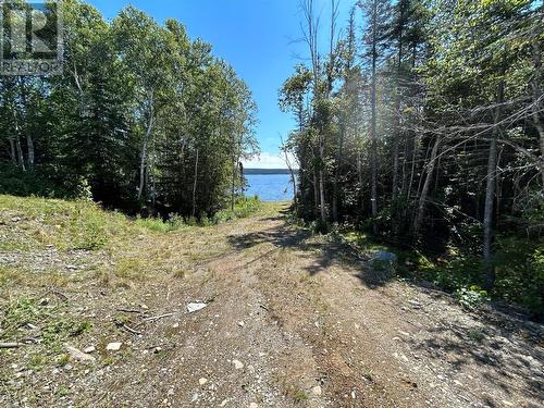 Lot #91902 & Lot #27 New Bay Lake Road, Grand Falls-Windsor, NL - Outdoor With View