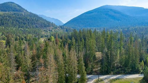 15127 Oliver Road, Gray Creek, BC - Outdoor With View