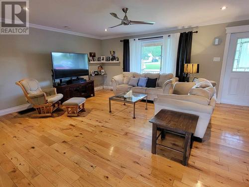 68 George Aaron Drive, Deer Lake, NL - Indoor Photo Showing Living Room