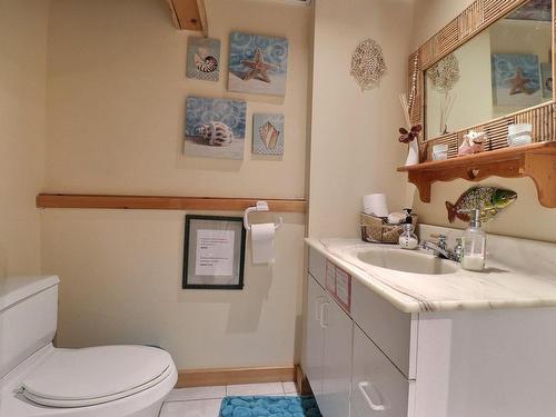 Powder room - 189 Ch. Du Petit-Cayamant, Cayamant, QC - Indoor Photo Showing Bathroom