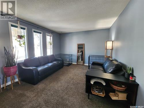 111 Millet Street, Yellow Grass, SK - Indoor Photo Showing Living Room