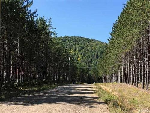 Street - Ch. Du Sommet, Bowman, QC - Outdoor With View