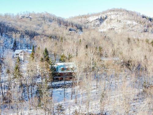 Back facade - 131 Ch. Au Pied-De-La-Pente-Douce, Mont-Tremblant, QC - Outdoor With View