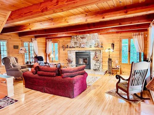 Living room - 131 Ch. Au Pied-De-La-Pente-Douce, Mont-Tremblant, QC - Indoor Photo Showing Living Room With Fireplace