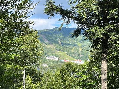 View - 131 Ch. Au Pied-De-La-Pente-Douce, Mont-Tremblant, QC - Outdoor With View