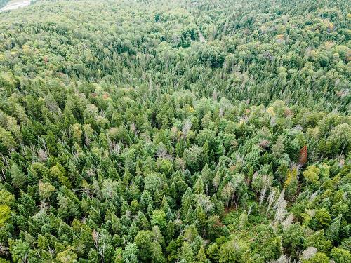 Aerial photo - Ch. Gillespie, Sainte-Agathe-Des-Monts, QC 