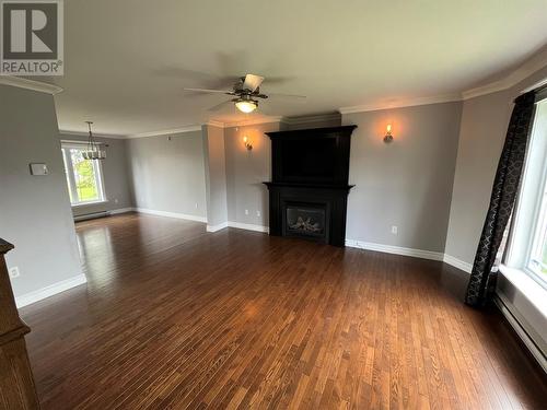 50 Peddle Drive, Grand Falls-Windsor, NL - Indoor Photo Showing Living Room With Fireplace
