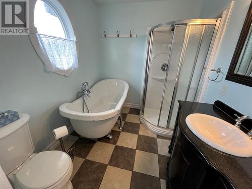 50 Peddle Drive, Grand Falls-Windsor, NL - Indoor Photo Showing Bathroom