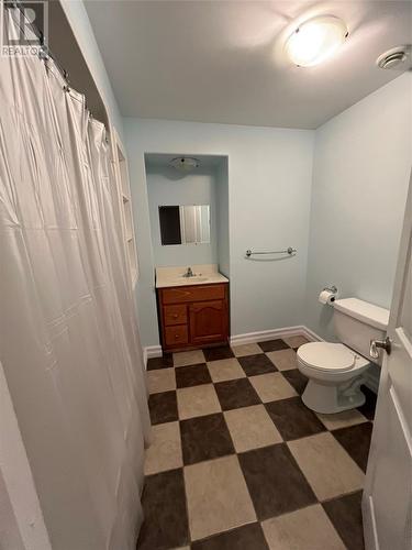 50 Peddle Drive, Grand Falls-Windsor, NL - Indoor Photo Showing Bathroom