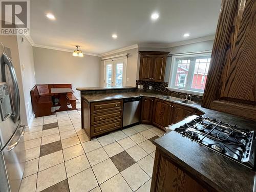 50 Peddle Drive, Grand Falls-Windsor, NL - Indoor Photo Showing Kitchen With Double Sink
