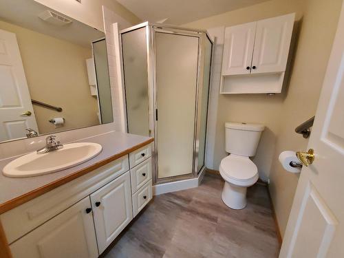 208 - 105 Knighton Rd, Kimberley, BC - Indoor Photo Showing Bathroom