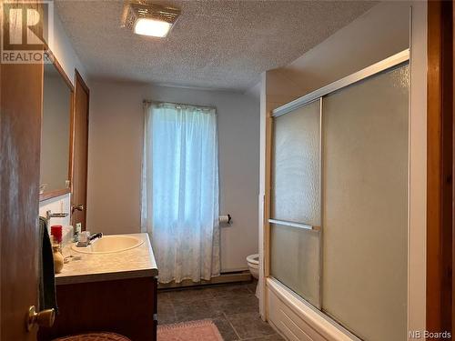 854 Ave Des Pionniers, Balmoral, NB - Indoor Photo Showing Bathroom
