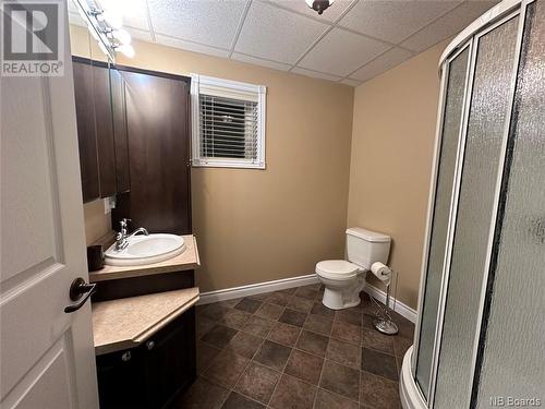 138 Des Ormes Avenue, Edmundston, NB - Indoor Photo Showing Bathroom