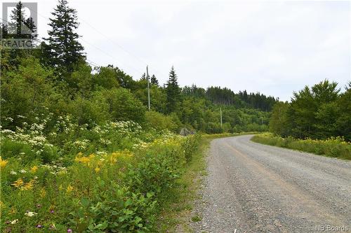 - Fundy Drive, Wilsons Beach, NB 