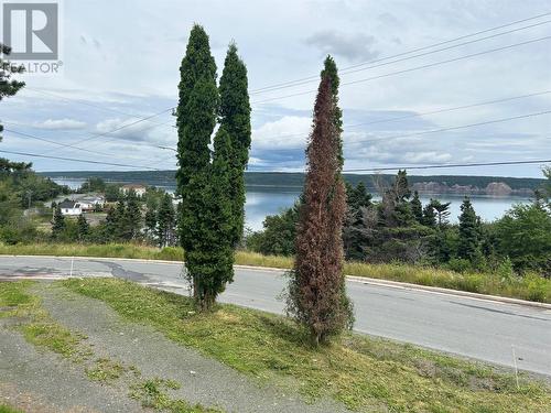8 Old Church Road, Clarenville, NL - Outdoor With View