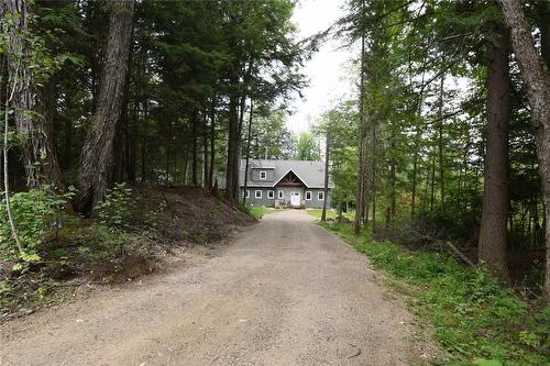 Long driveway to cottage - 1417 Dickie Lake Road W, Baysville, ON - Outdoor