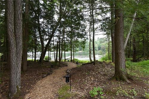 To the Lake - 1417 Dickie Lake Road W, Baysville, ON - Outdoor With View