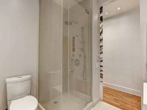 Salle de bains - 3-3960 Rue St-Hubert, Montréal (Le Plateau-Mont-Royal), QC - Indoor Photo Showing Bathroom