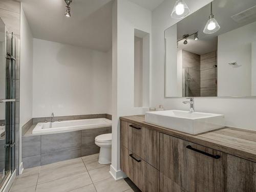Salle de bains - 101-4280 Rue Bernard-Hubert, Longueuil (Saint-Hubert), QC - Indoor Photo Showing Bathroom