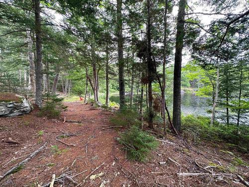 Lot Narrows Road, Labelle, NS 
